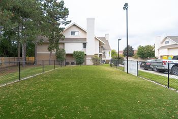 Large grassy area